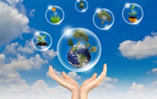Eco concept : Hand hold earth ,tree and flower in bubbles against the sun and the blue sky